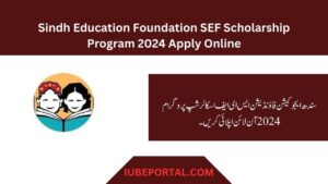 Sindh Education Foundation SEF Scholarship Program 2024 Apply Online